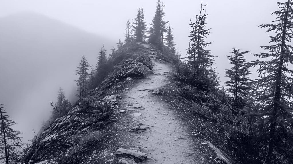 A rocky, narrow mountain trail lined with evergreen trees winds through fog, creating a moody and mysterious atmosphere. The path appears steep and remote, with limited visibility due to dense mist.