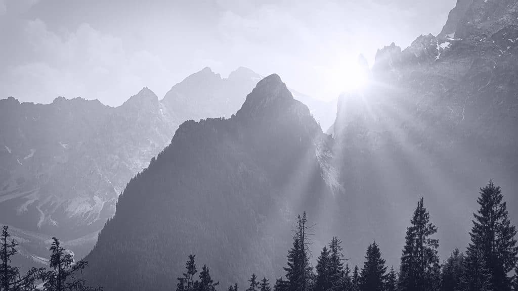 The sun rises behind rugged mountain peaks, casting rays of light through the misty sky and illuminating the forested slopes below. Silhouetted pine trees appear in the foreground. The image is in black and white.